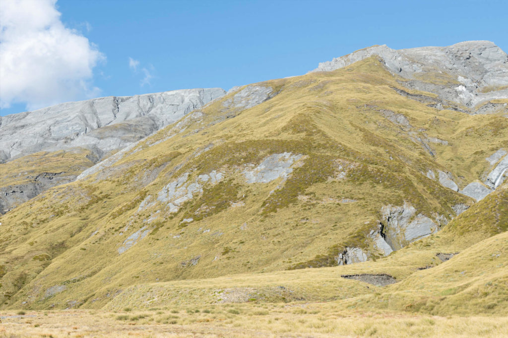 Tussock covered valley wall