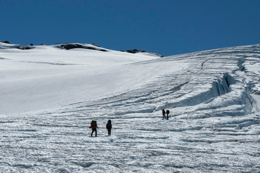 Four glacier walkers